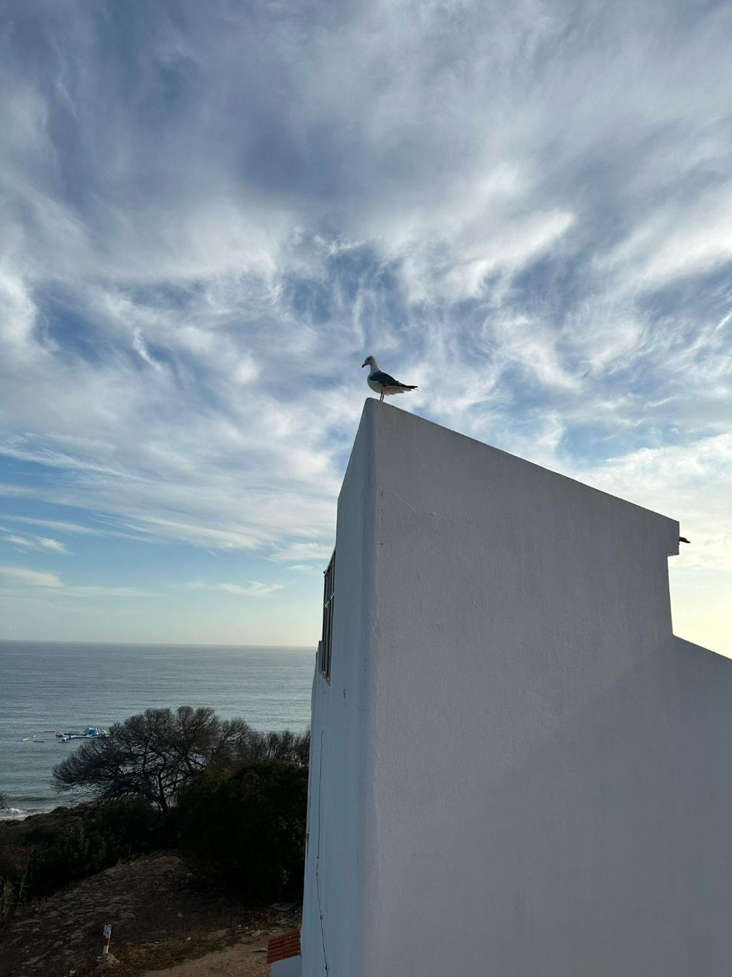 Golden Cliff House Apartment Albufeira Bagian luar foto