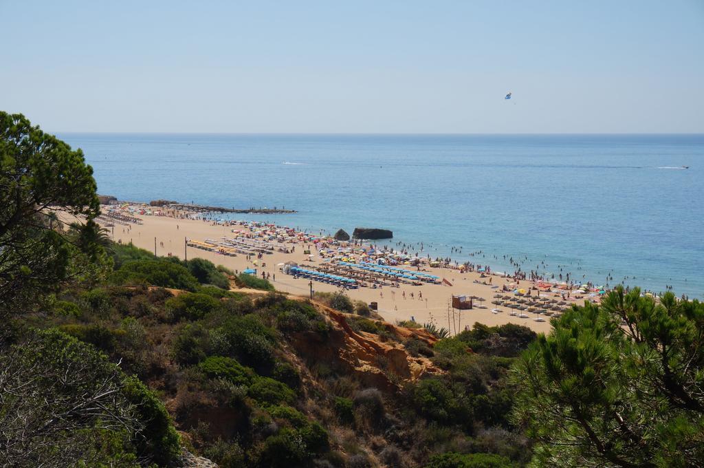 Golden Cliff House Apartment Albufeira Bagian luar foto